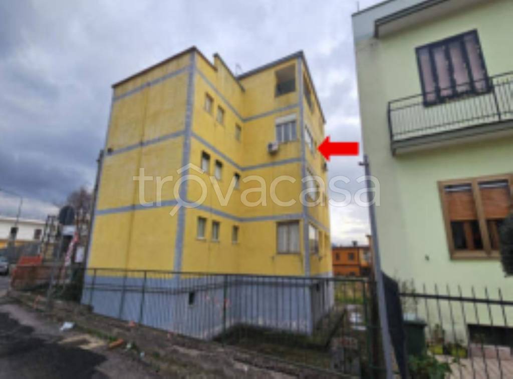 immagine annuncio 3 di 11