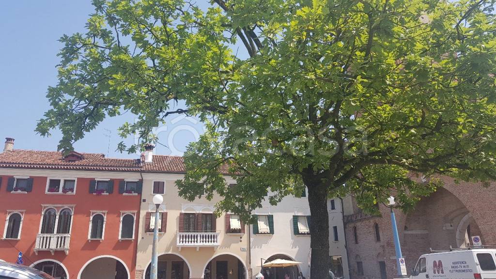 immagine annuncio 6 di 7