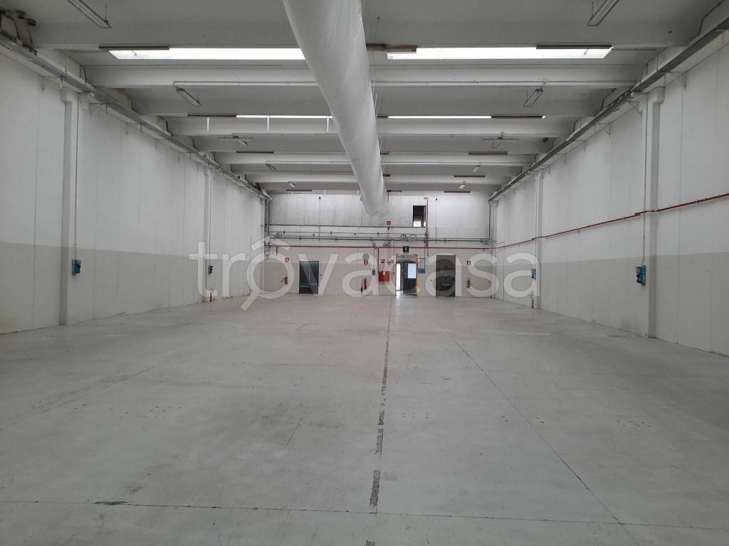 immagine annuncio 2 di 8