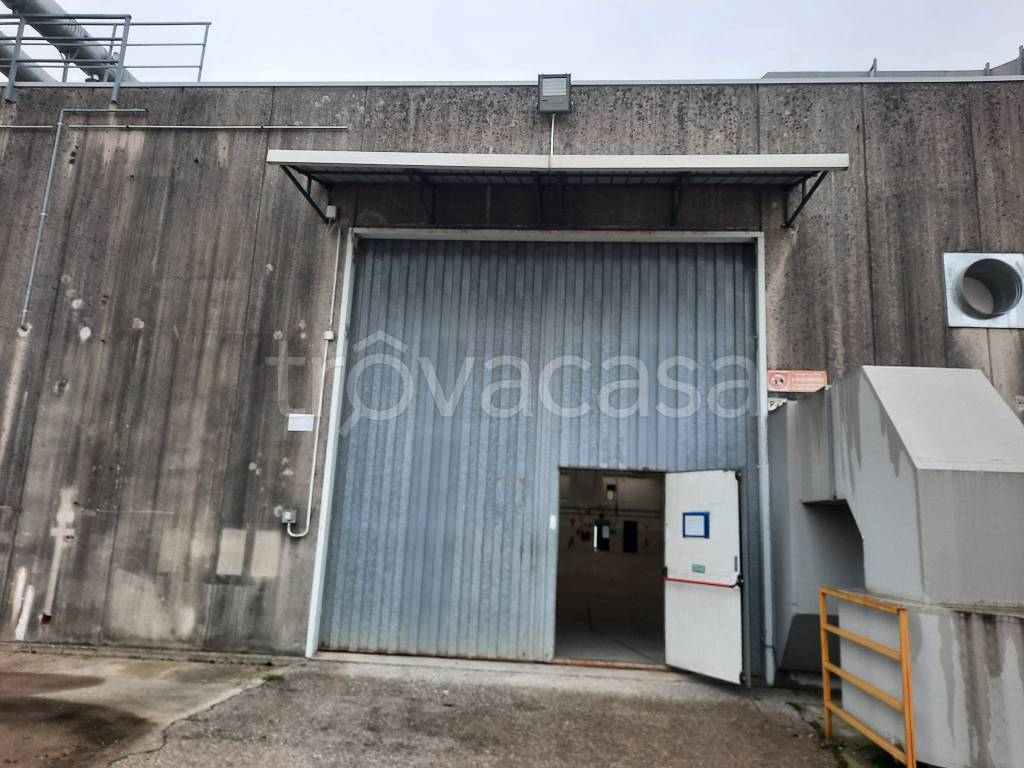 immagine annuncio 6 di 8