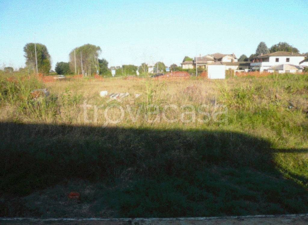 immagine annuncio 2 di 6