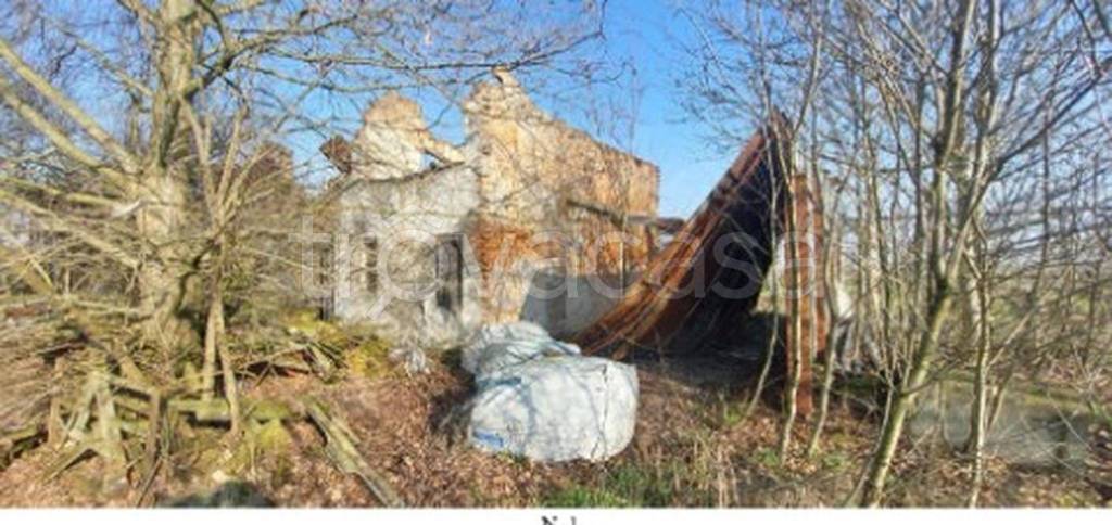 immagine annuncio 4 di 13