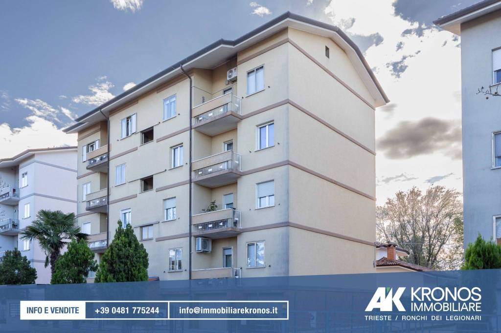 immagine annuncio 2 di 12