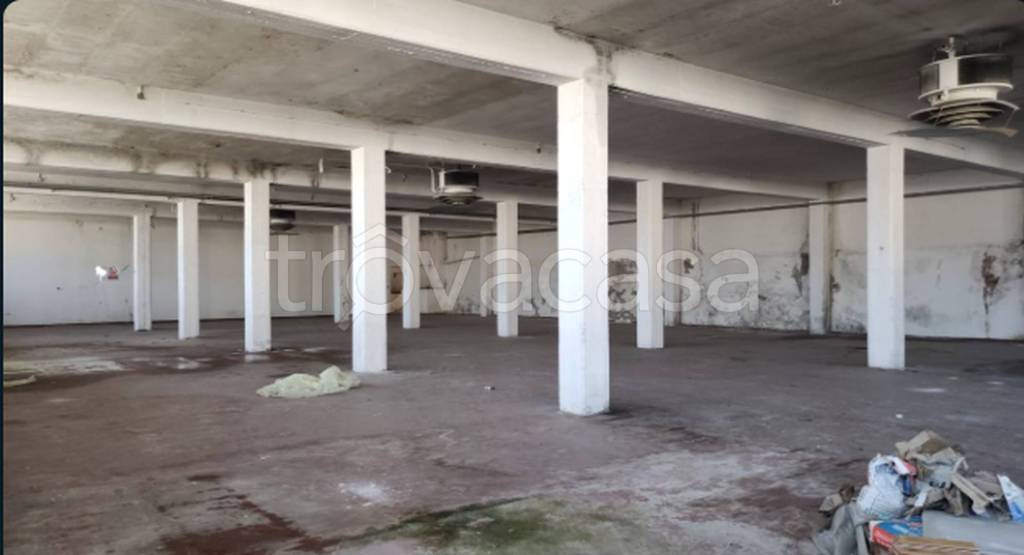 immagine annuncio 4 di 11