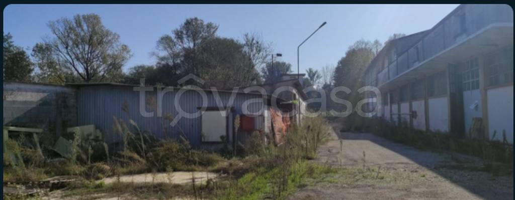 immagine annuncio 5 di 11