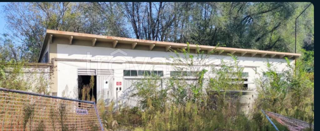 immagine annuncio 6 di 11