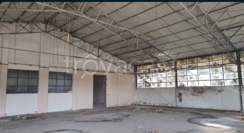 immagine annuncio 7 di 11