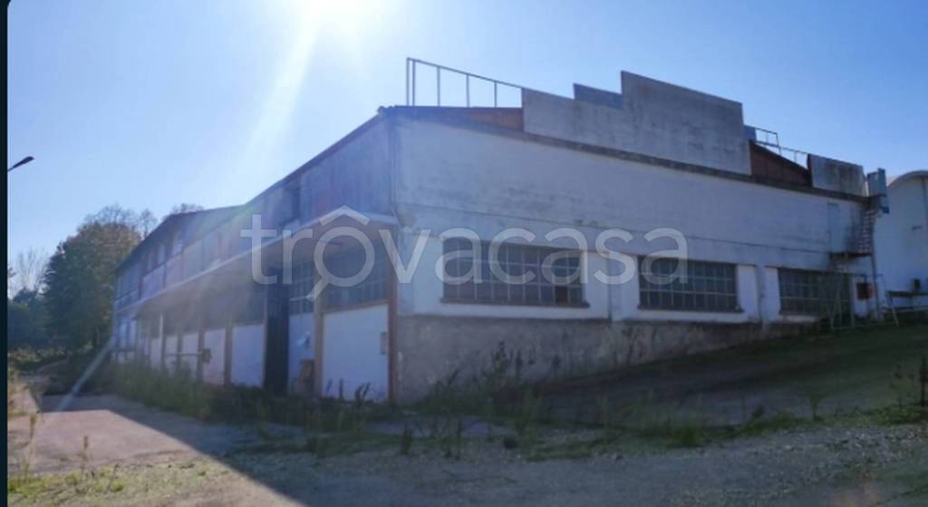 immagine annuncio 9 di 11