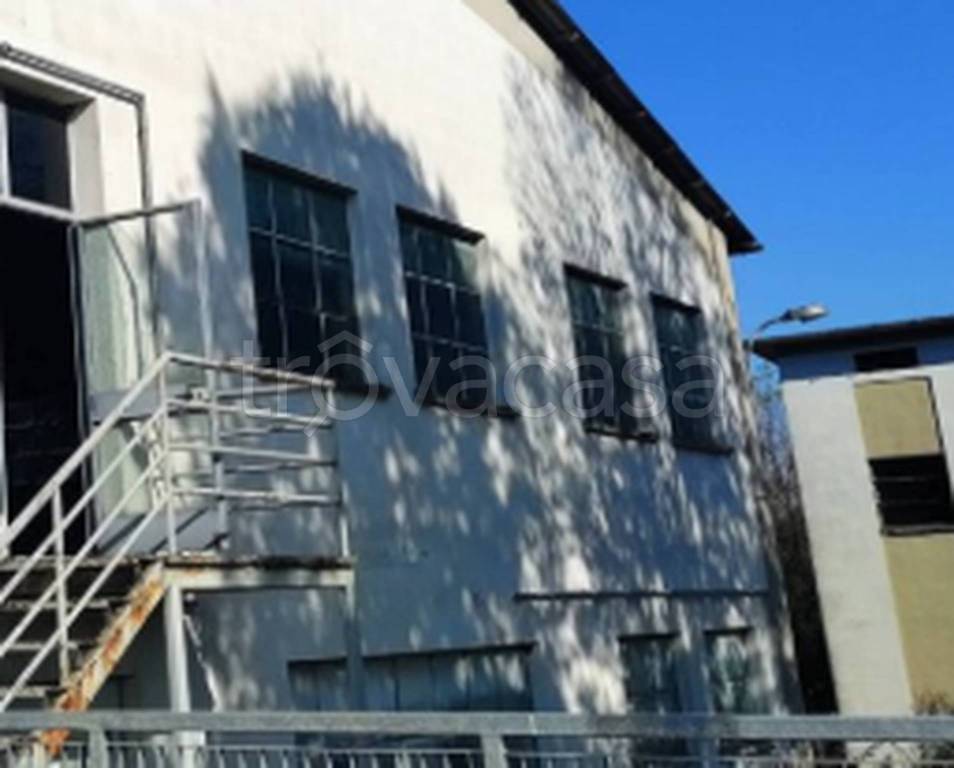 immagine annuncio 10 di 11