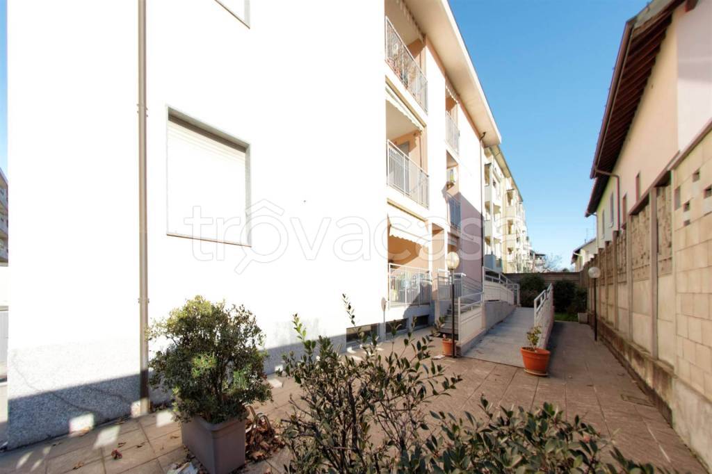 immagine annuncio 10 di 11