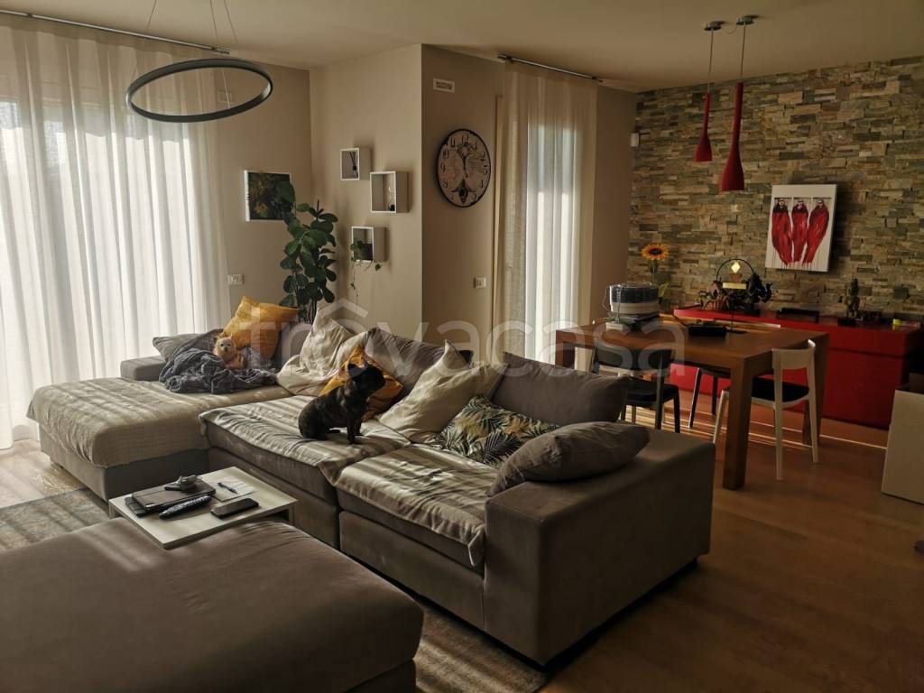 immagine annuncio 6 di 11