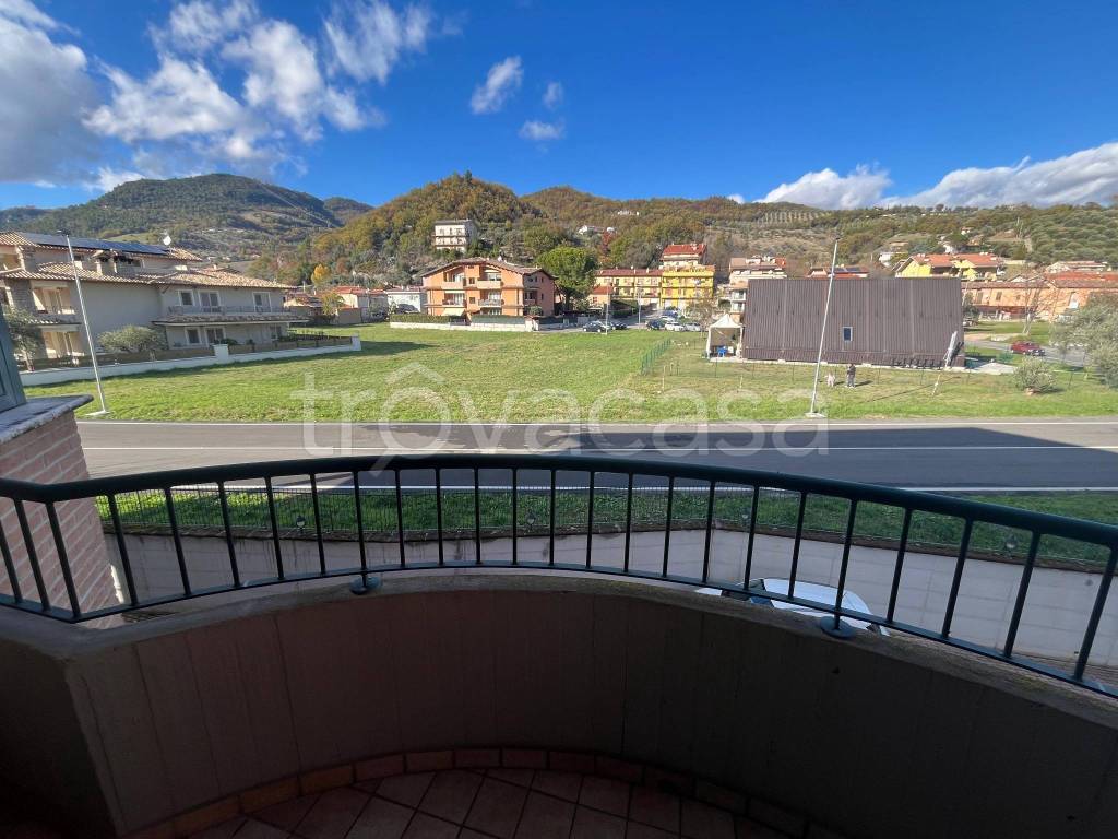 immagine annuncio 7 di 14