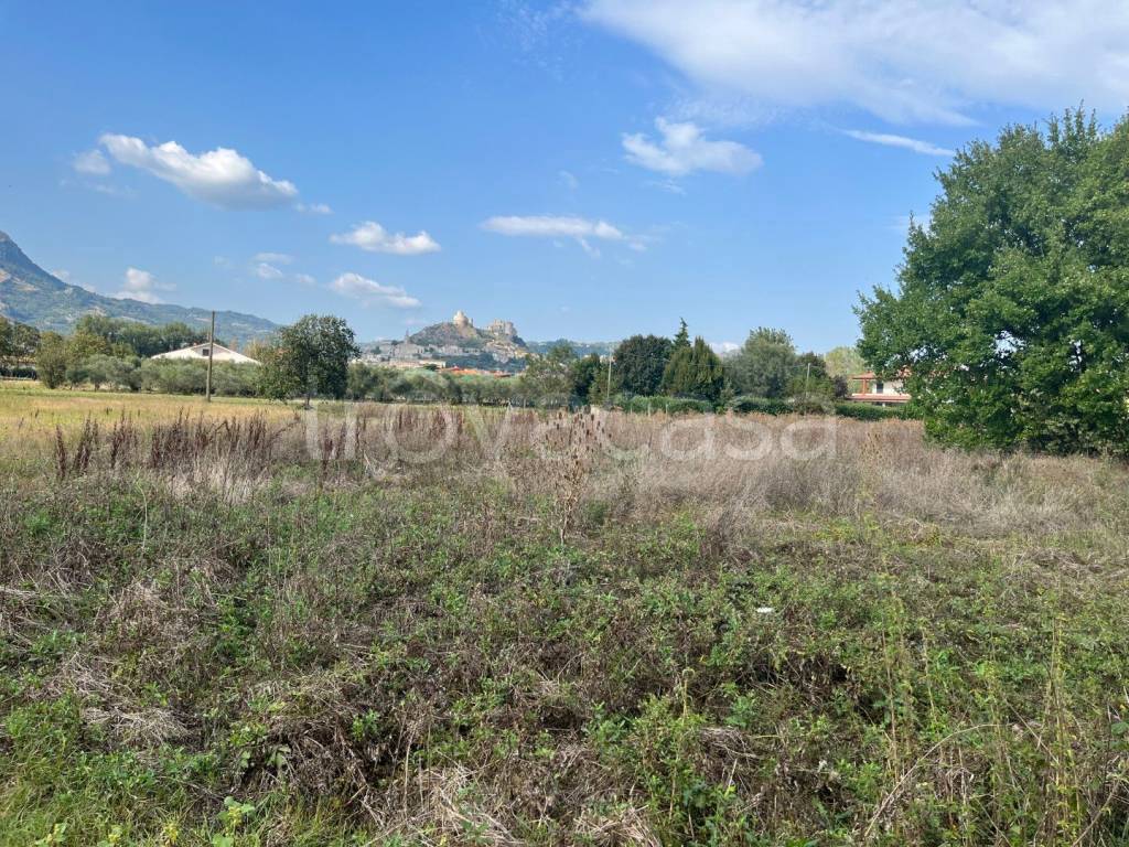 immagine annuncio 1 di 12