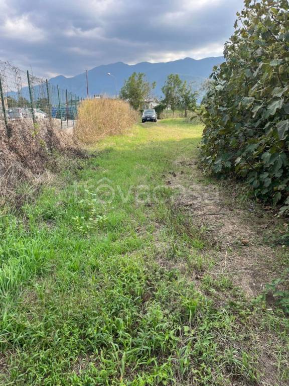 immagine annuncio 7 di 12