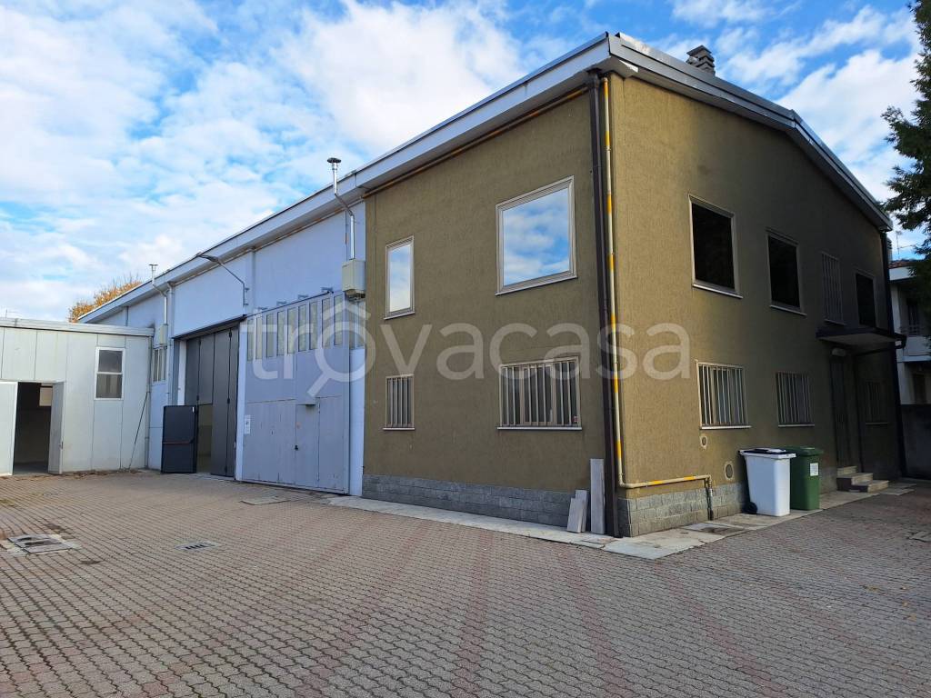 immagine annuncio 5 di 15