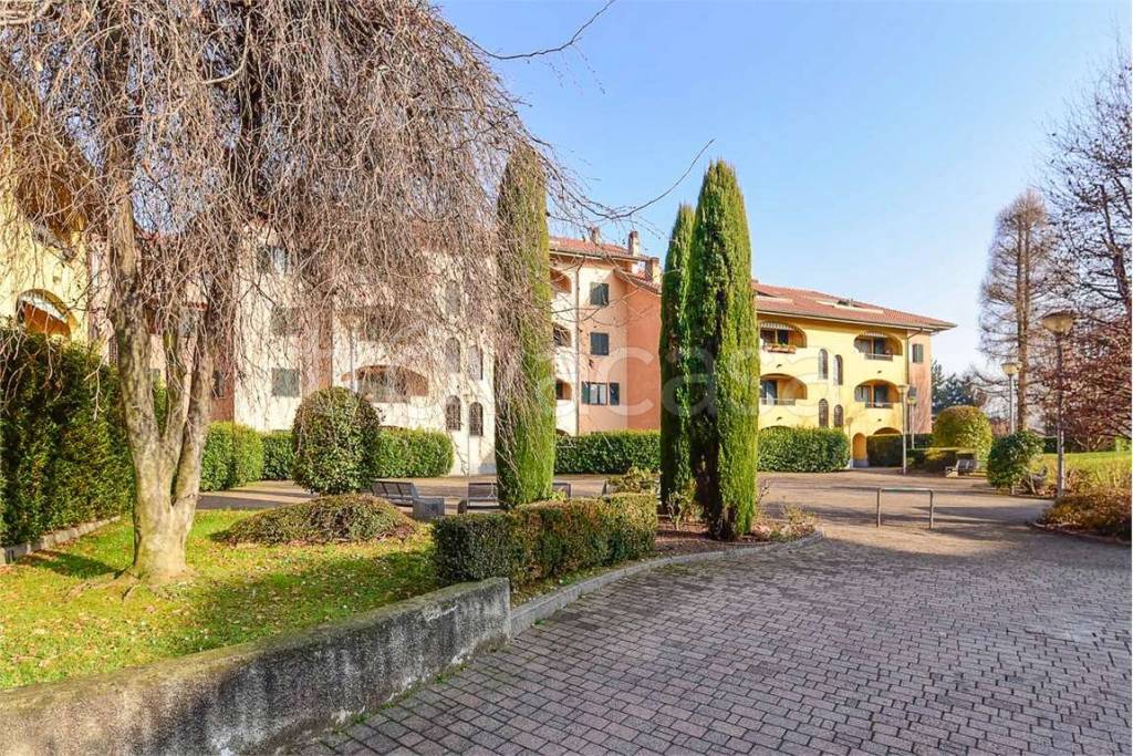 immagine annuncio 1 di 15