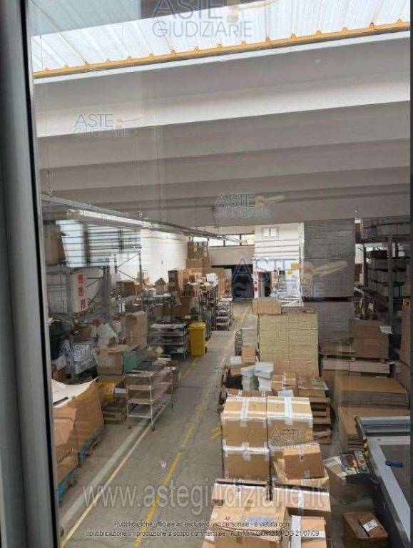 immagine annuncio 9 di 13