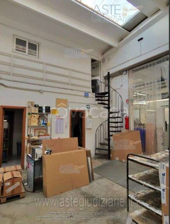 immagine annuncio 11 di 13