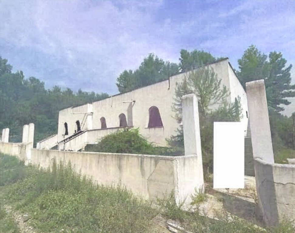 immagine annuncio 1 di 11