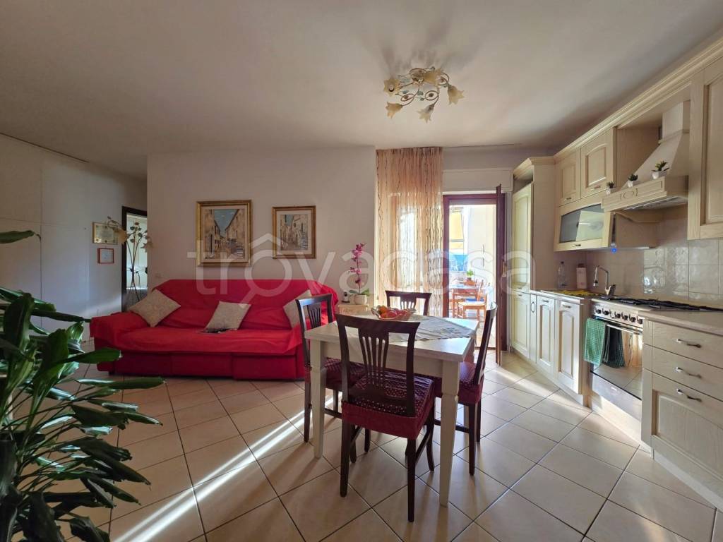 immagine annuncio 11 di 15