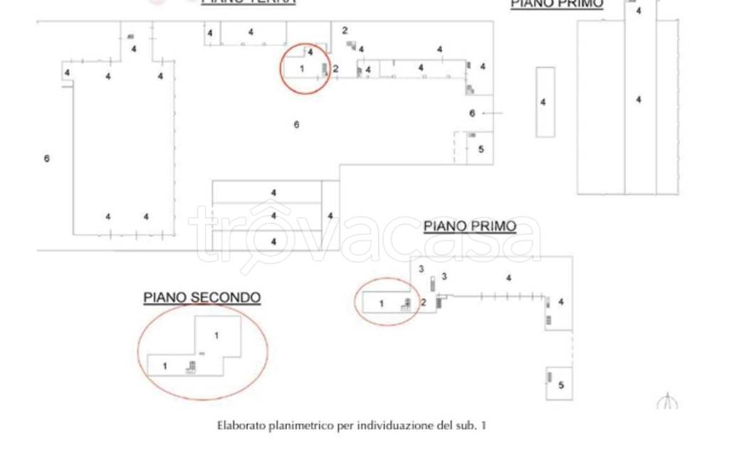 immagine annuncio 7 di 15