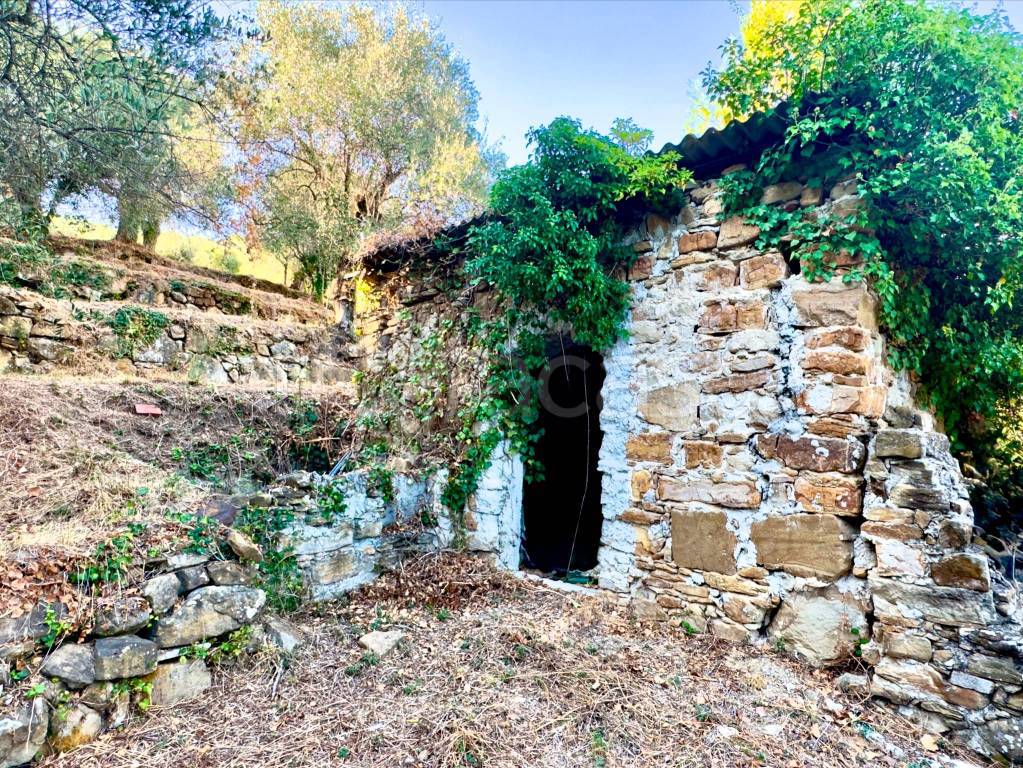 immagine annuncio 3 di 11