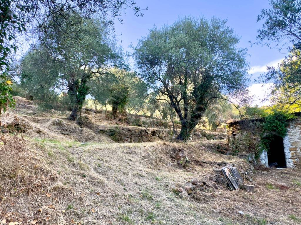 immagine annuncio 4 di 11