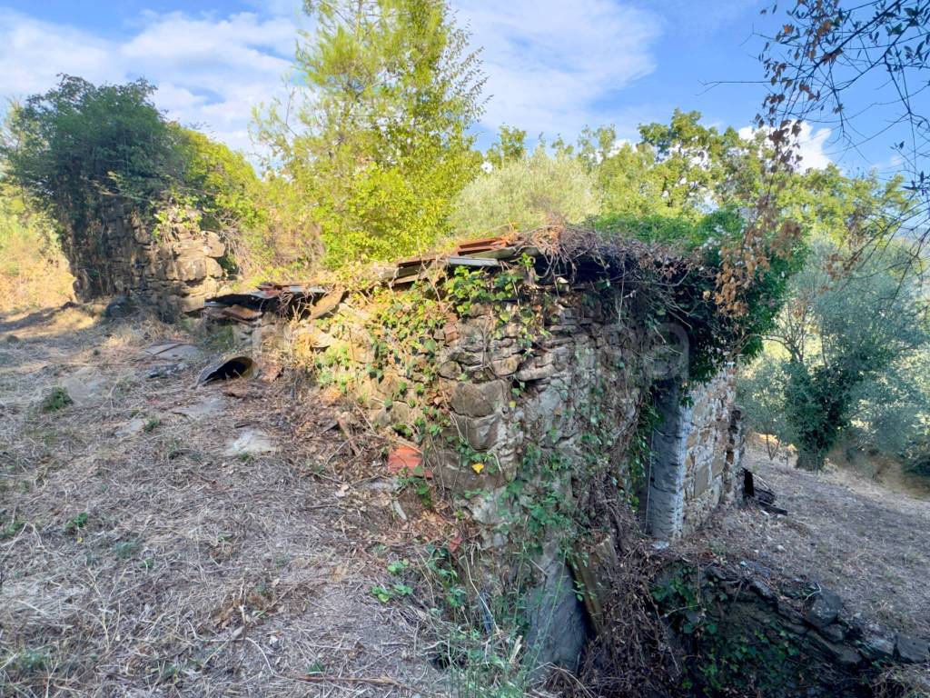 immagine annuncio 6 di 11