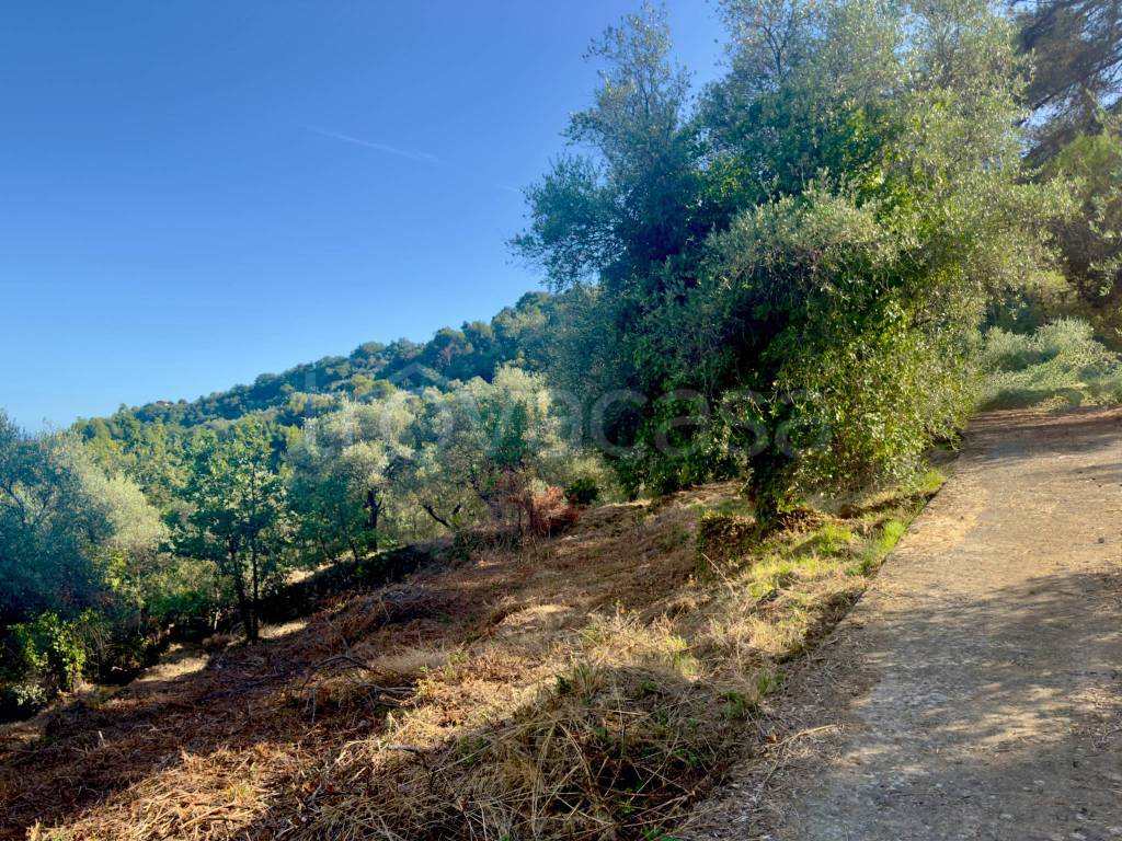 immagine annuncio 7 di 11