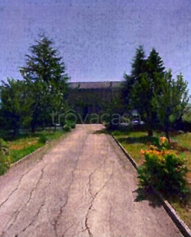 immagine annuncio 3 di 8