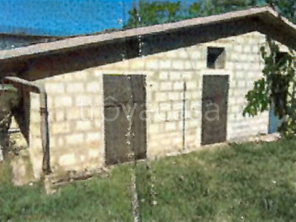 immagine annuncio 7 di 8