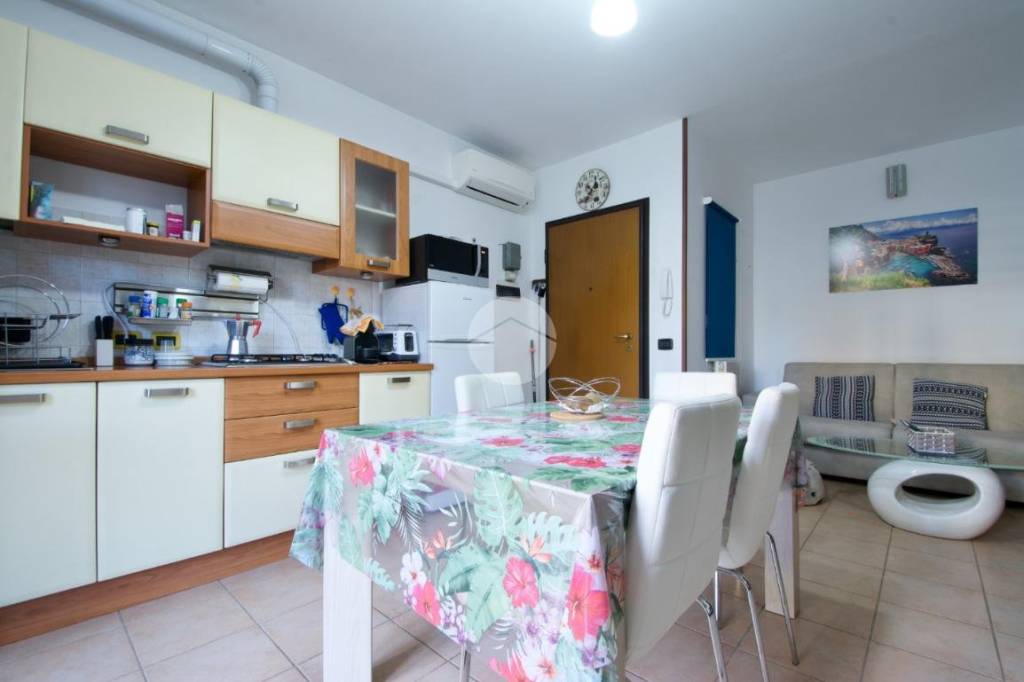 immagine annuncio 3 di 14