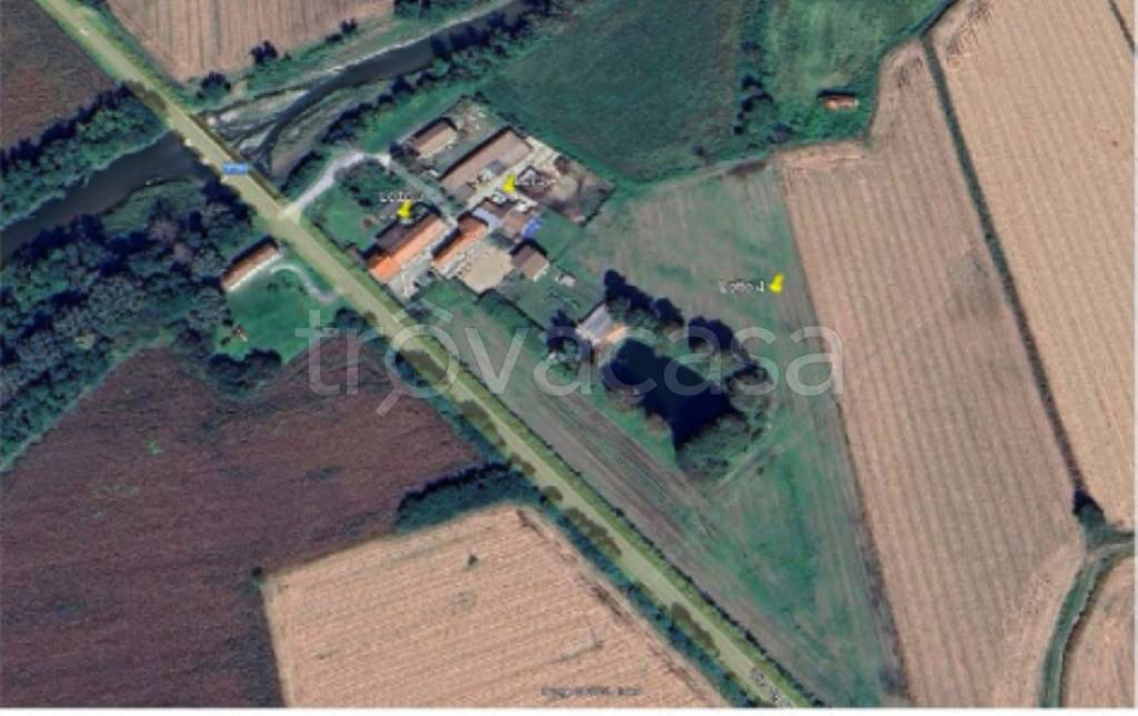 immagine annuncio 4 di 12