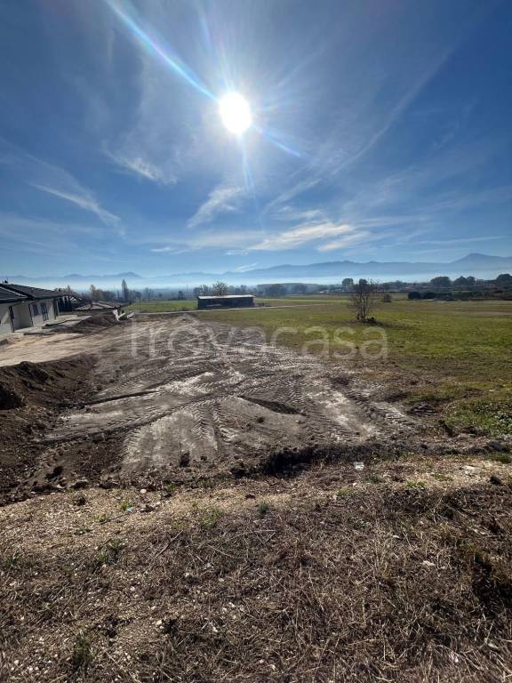 immagine annuncio 4 di 6