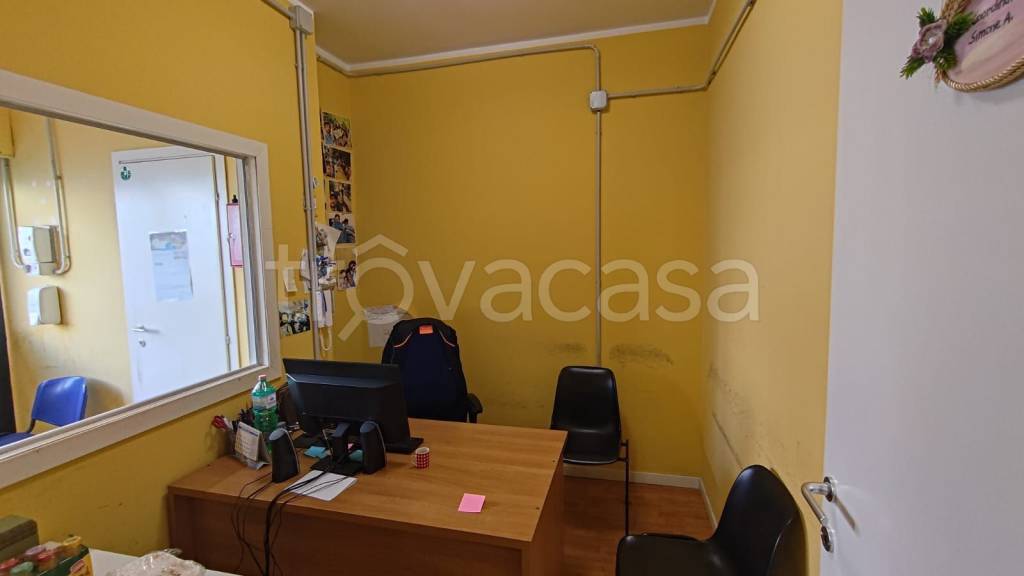 immagine annuncio 6 di 11