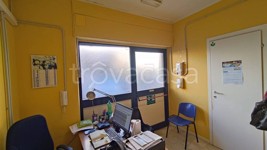 immagine annuncio 8 di 11