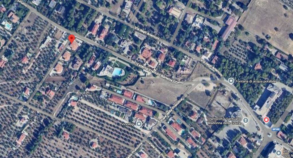 immagine annuncio 13 di 15