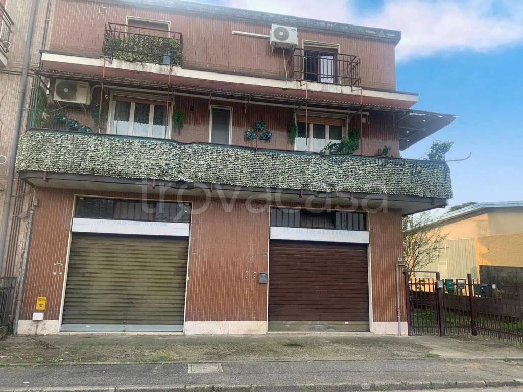 immagine annuncio 1 di 7