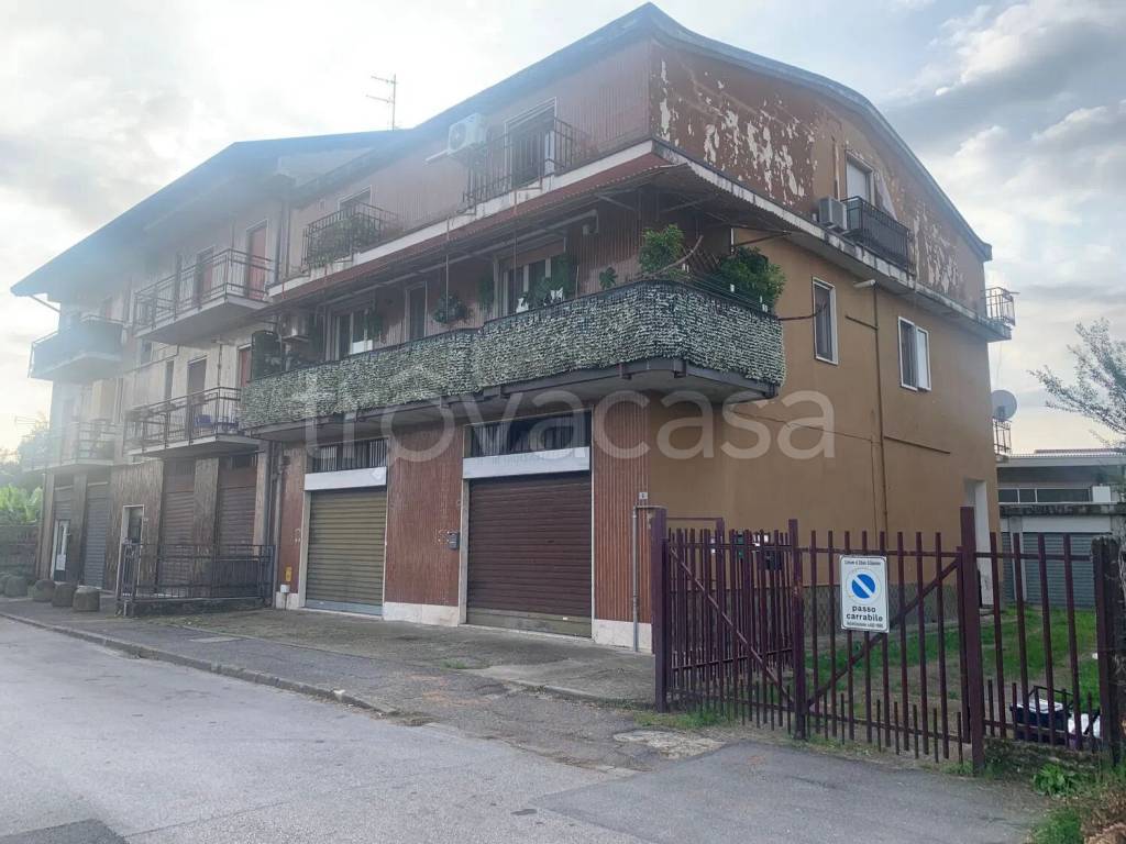 immagine annuncio 2 di 7