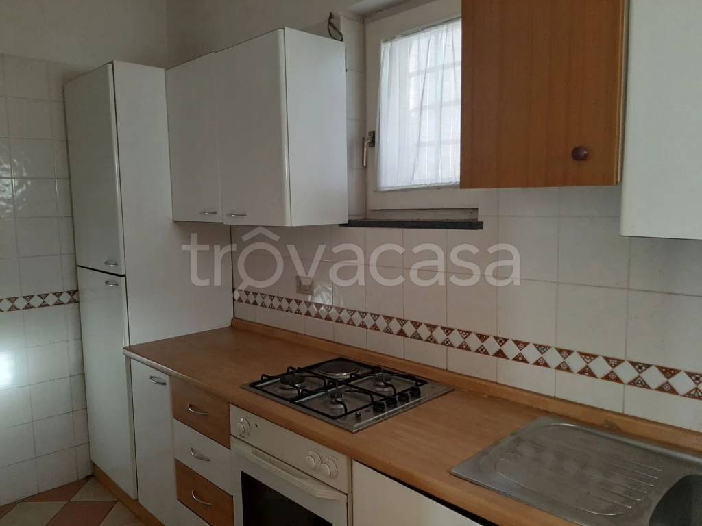 immagine annuncio 7 di 14