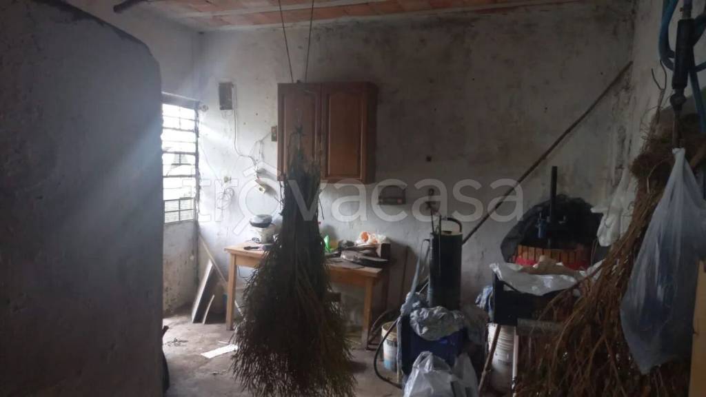 immagine annuncio 6 di 8