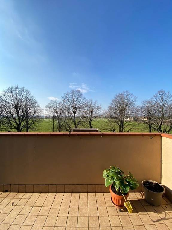 immagine annuncio 5 di 14