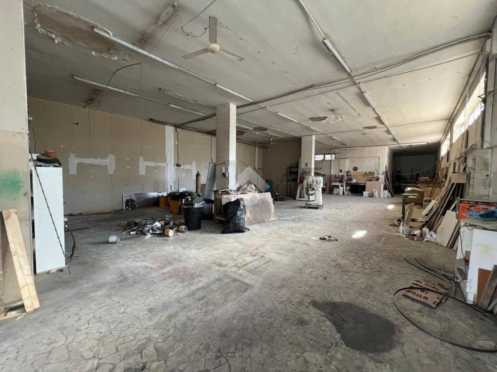 immagine annuncio 9 di 15