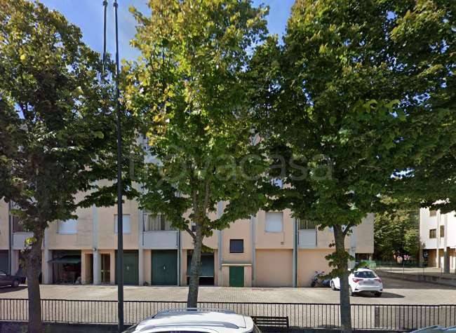 immagine annuncio 6 di 15