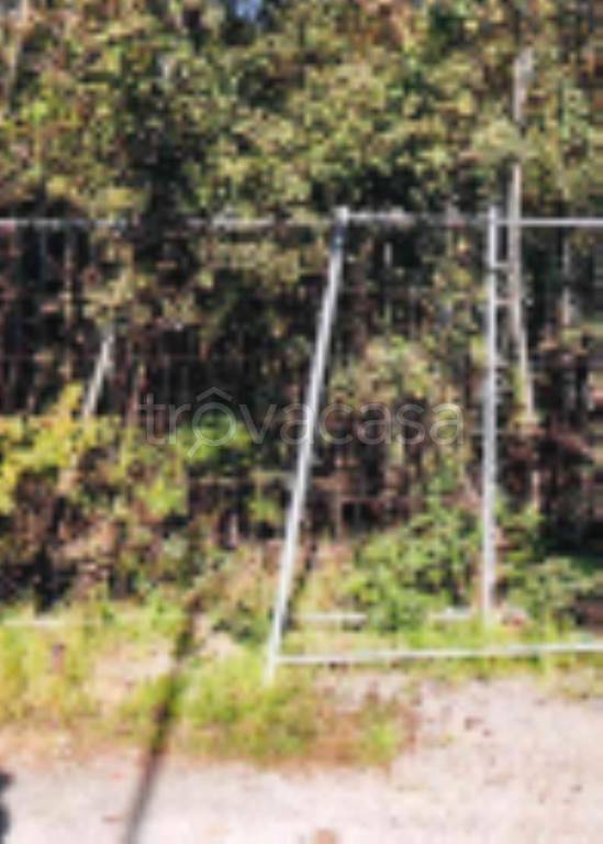 immagine annuncio 5 di 11