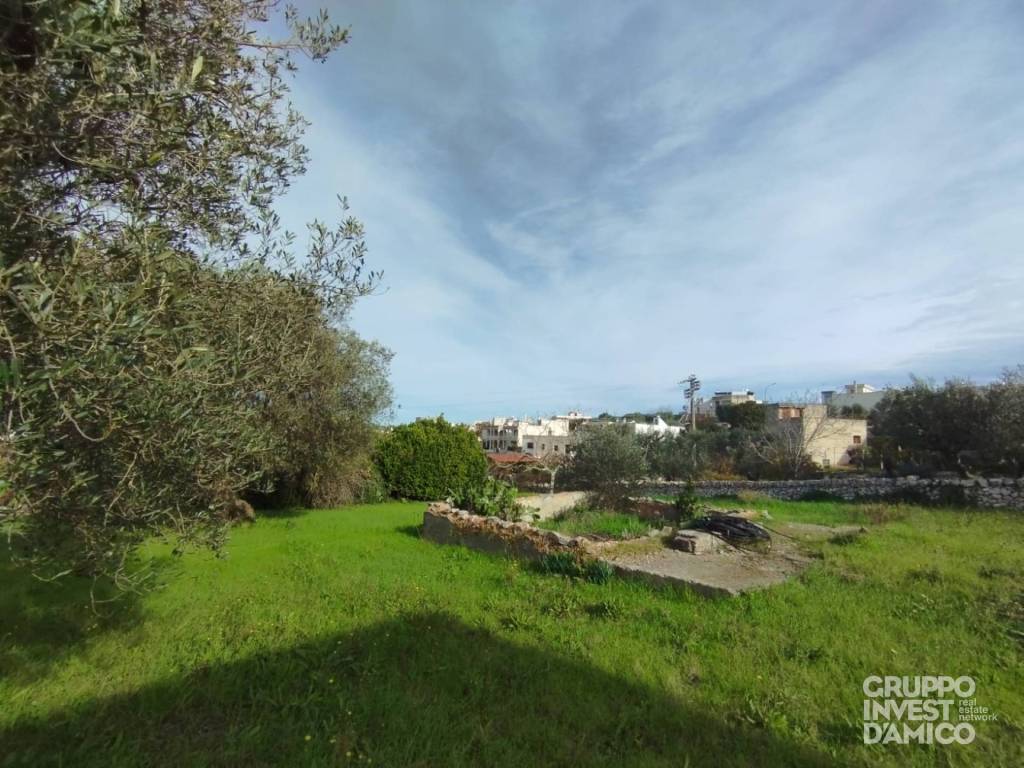 immagine annuncio 4 di 6