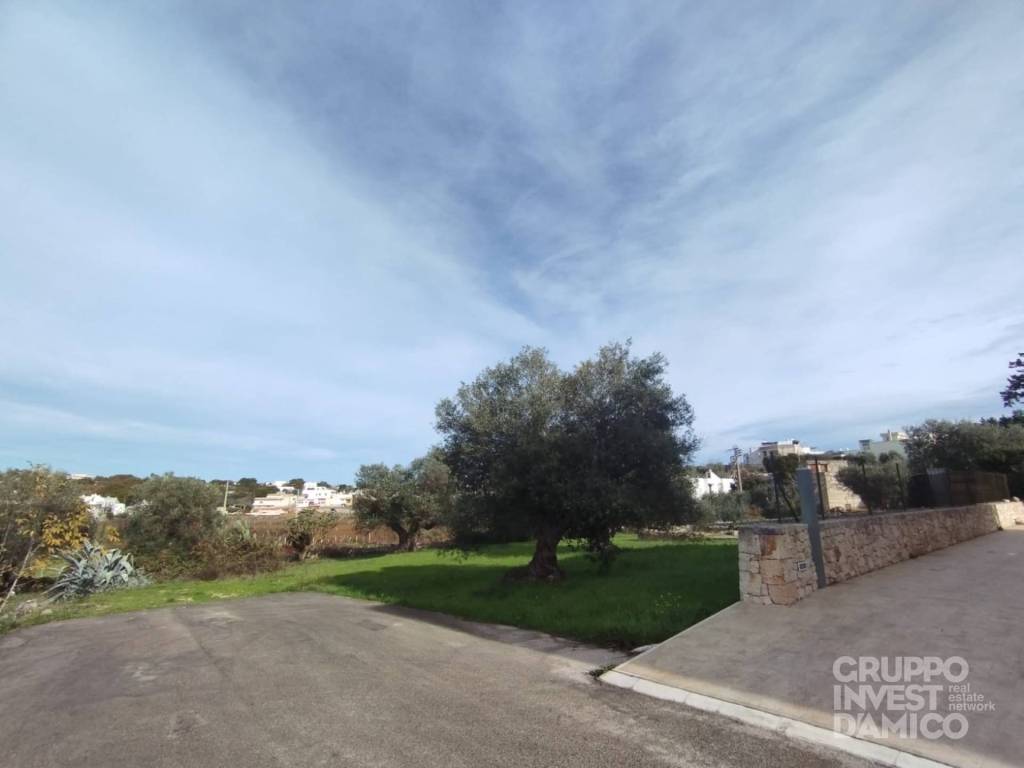 immagine annuncio 5 di 6