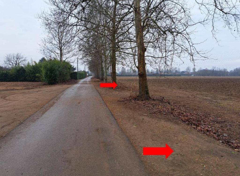 immagine annuncio 2 di 11