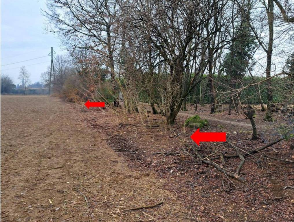 immagine annuncio 6 di 11