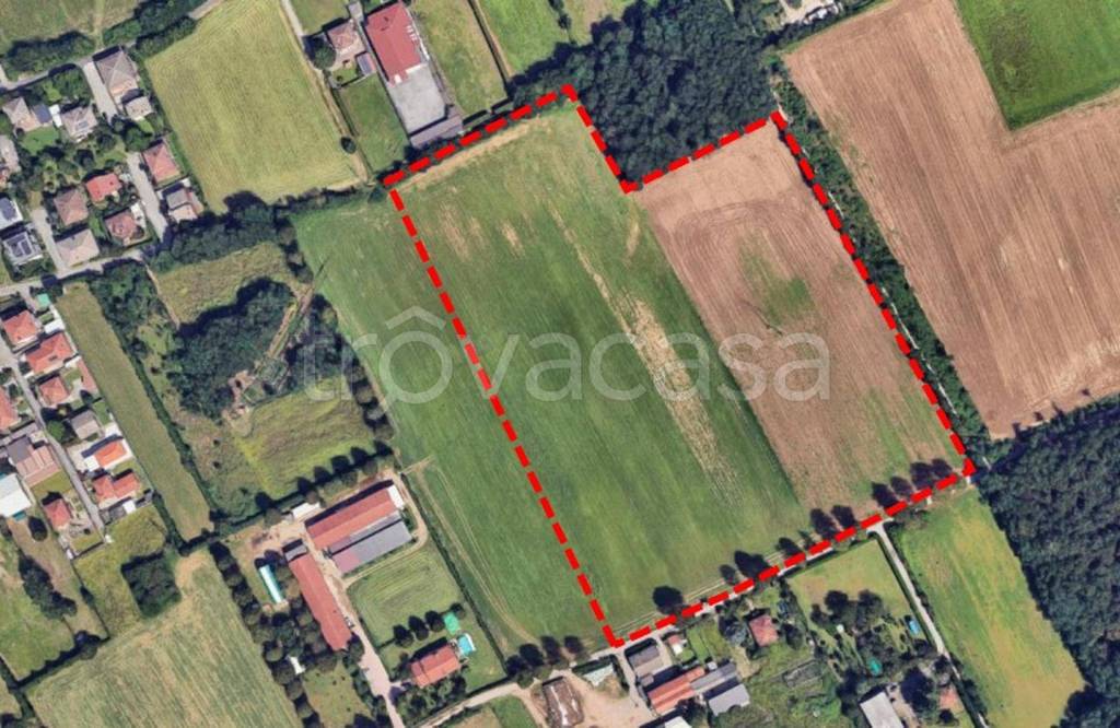 immagine annuncio 8 di 11